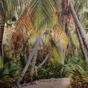 Meet your Posher, Georgene